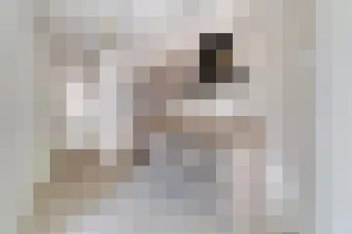 Raadhuisplein 52 Asperen thumbnail 6