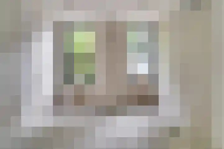 Raadhuisplein 54 Asperen thumbnail 12