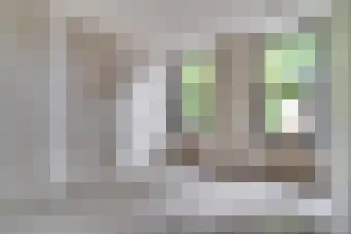 Raadhuisplein 54 Asperen thumbnail 13