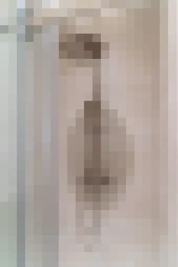 Raadhuisplein 54 Asperen thumbnail 18