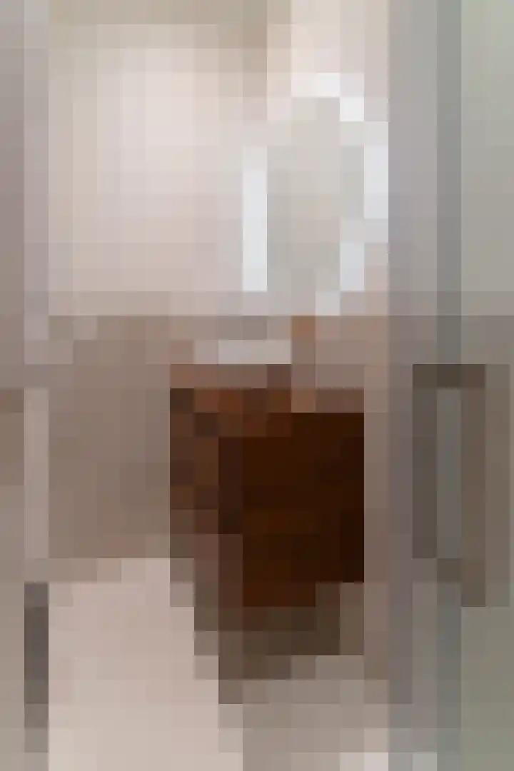Raadhuisplein 54 Asperen thumbnail 21