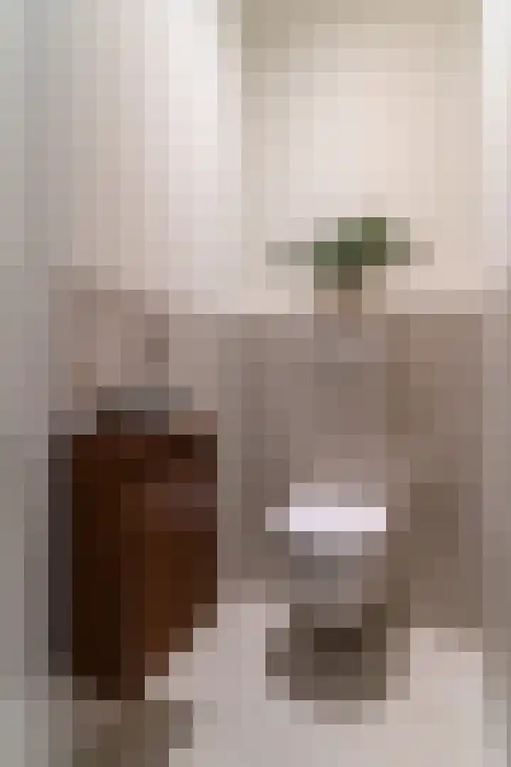 Raadhuisplein 54 Asperen thumbnail 24