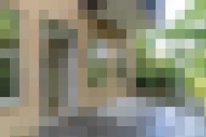 Raadhuisplein 54 Asperen thumbnail 32