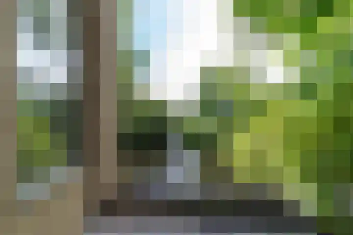 Raadhuisplein 54 Asperen thumbnail 33