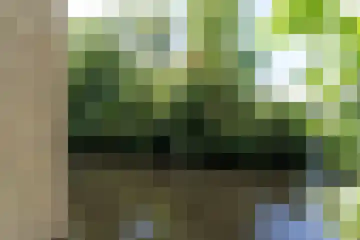 Raadhuisplein 54 Asperen thumbnail 34