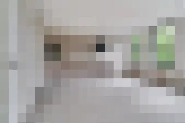 Raadhuisplein 54 Asperen thumbnail 4