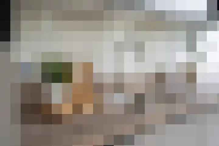 Raadhuisplein 54 Asperen thumbnail 7