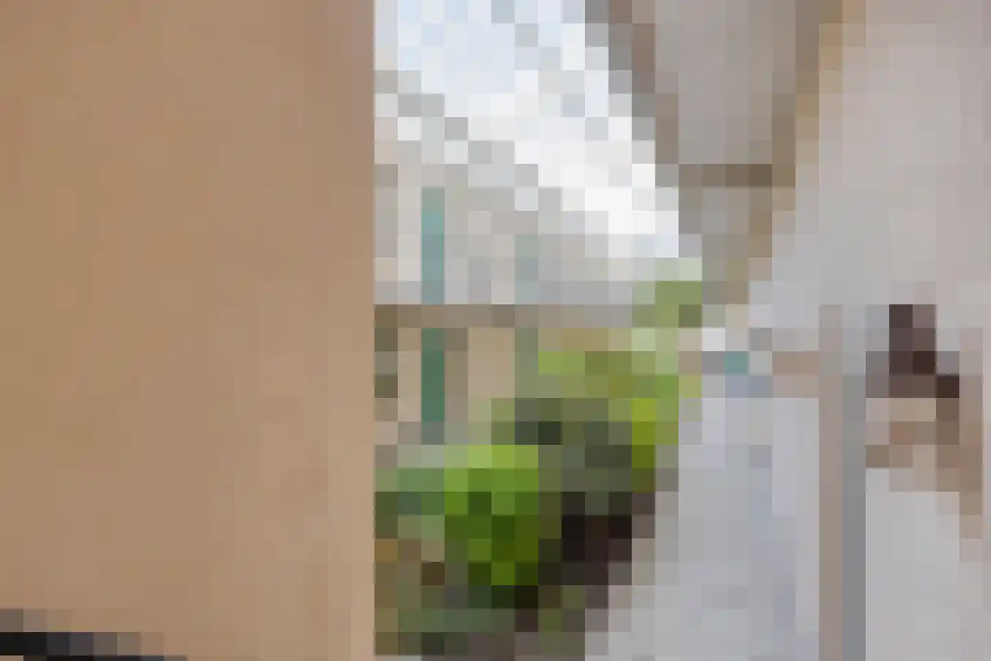 Raadhuisplein 59 Heerhugowaard thumbnail 23