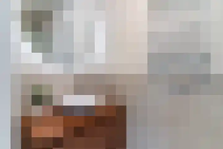 Raadhuisplein 6 Asperen thumbnail 14