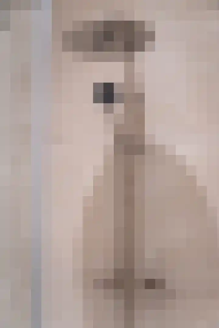 Raadhuisplein 6 Asperen thumbnail 15