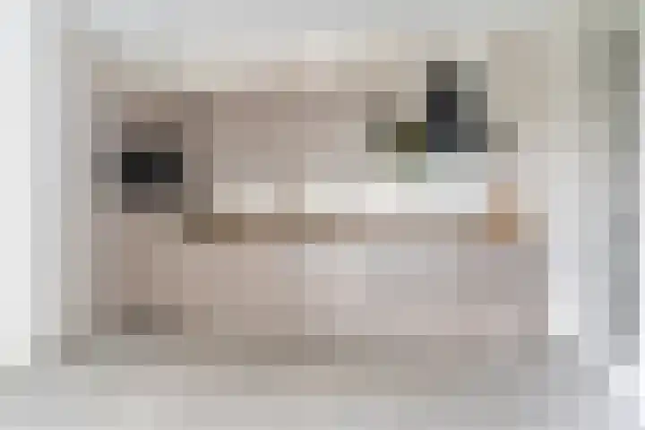 Raadhuisplein 6 Asperen thumbnail 4