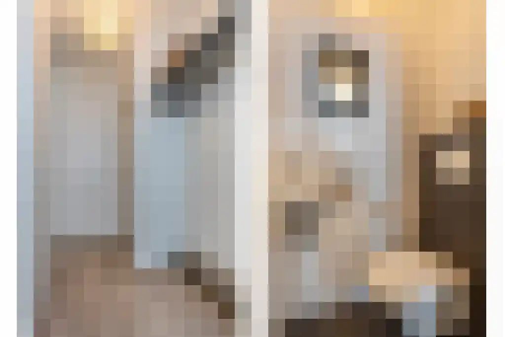 Raadhuisplein 6 Son en Breugel thumbnail 5