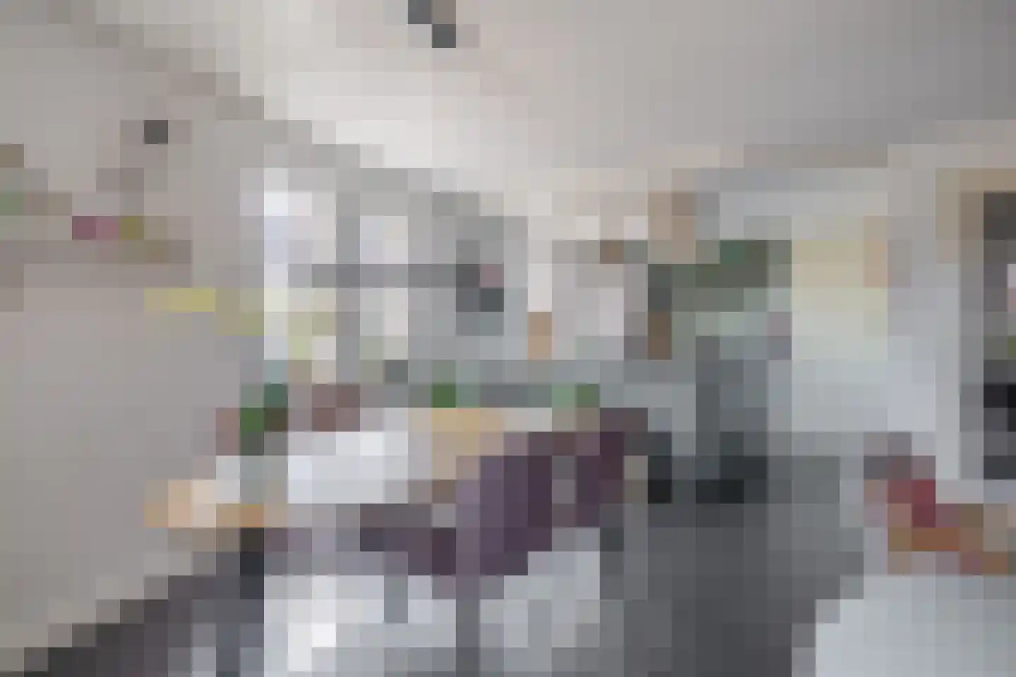 Raadhuisplein 61 Lekkerkerk thumbnail 14