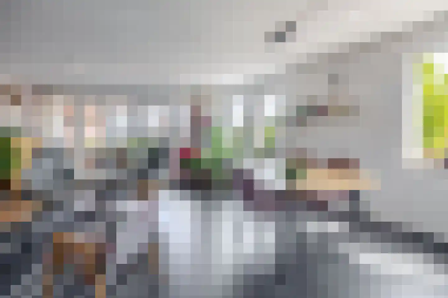 Raadhuisplein 61 Lekkerkerk thumbnail 15