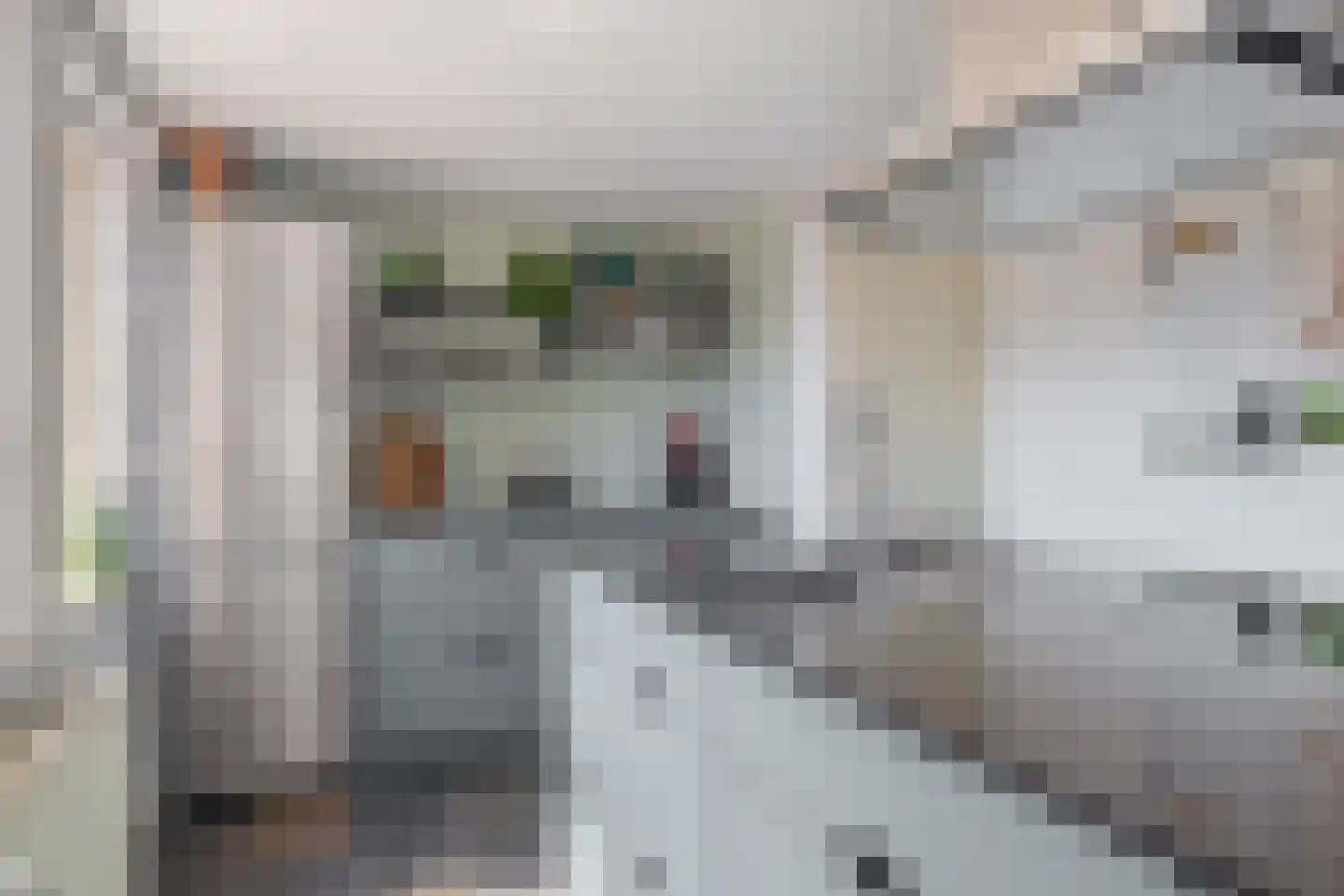 Raadhuisplein 61 Lekkerkerk thumbnail 17
