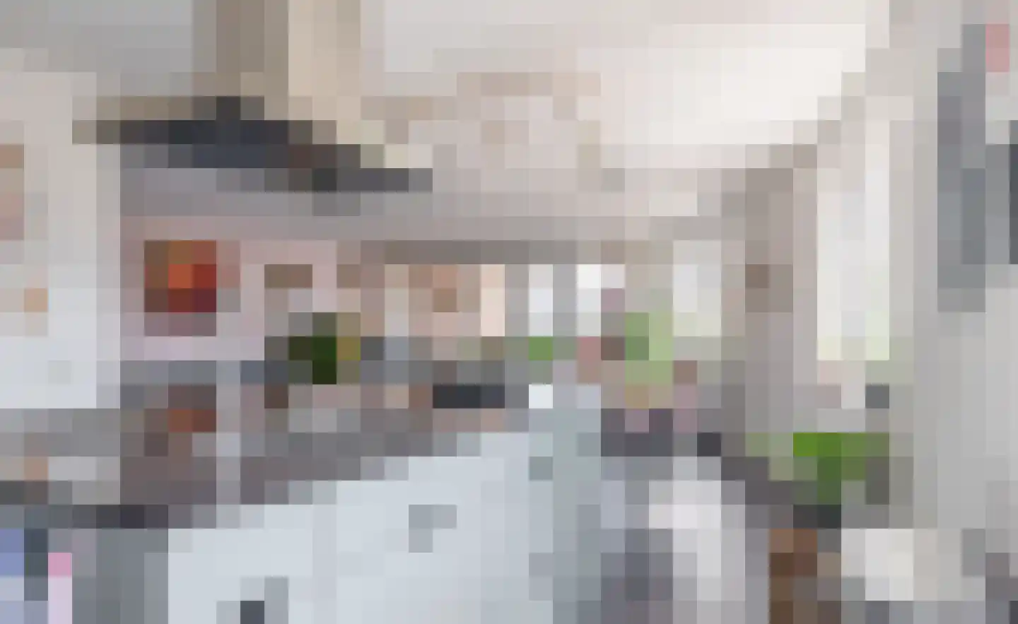 Raadhuisplein 61 Lekkerkerk thumbnail 19