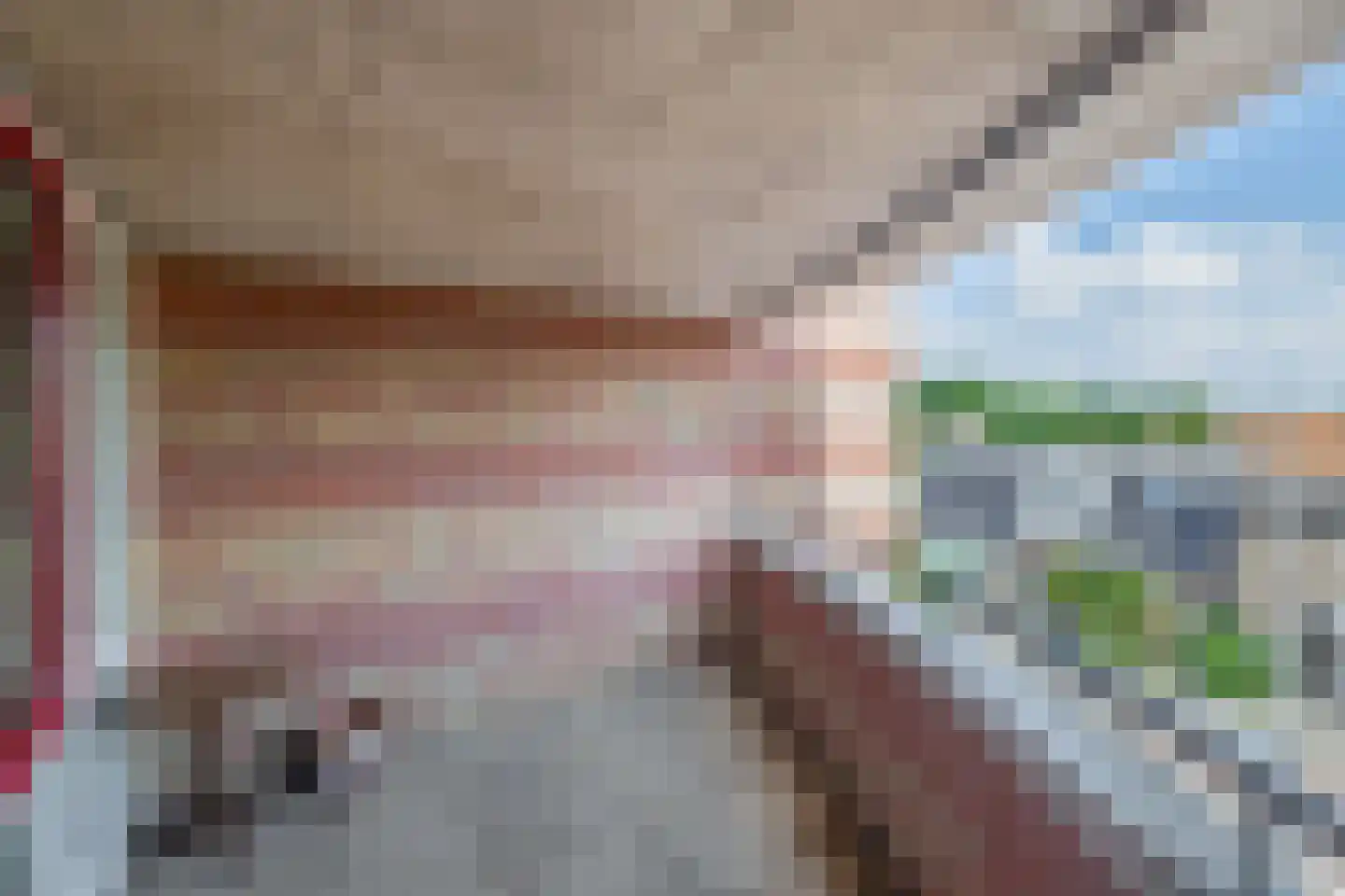 Raadhuisplein 61 Lekkerkerk thumbnail 24
