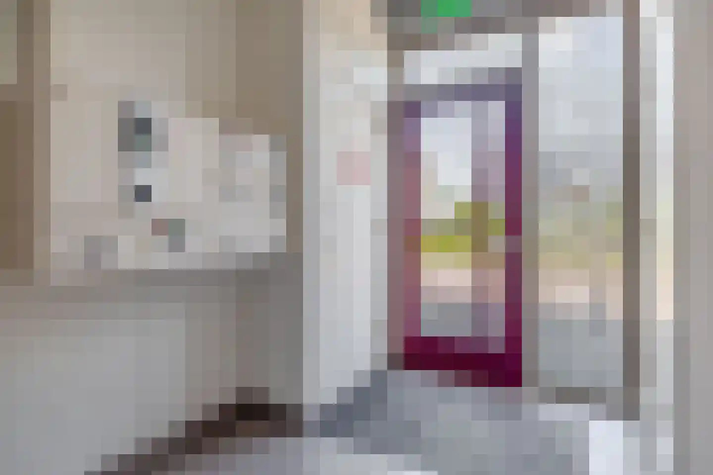 Raadhuisplein 61 Lekkerkerk thumbnail 34