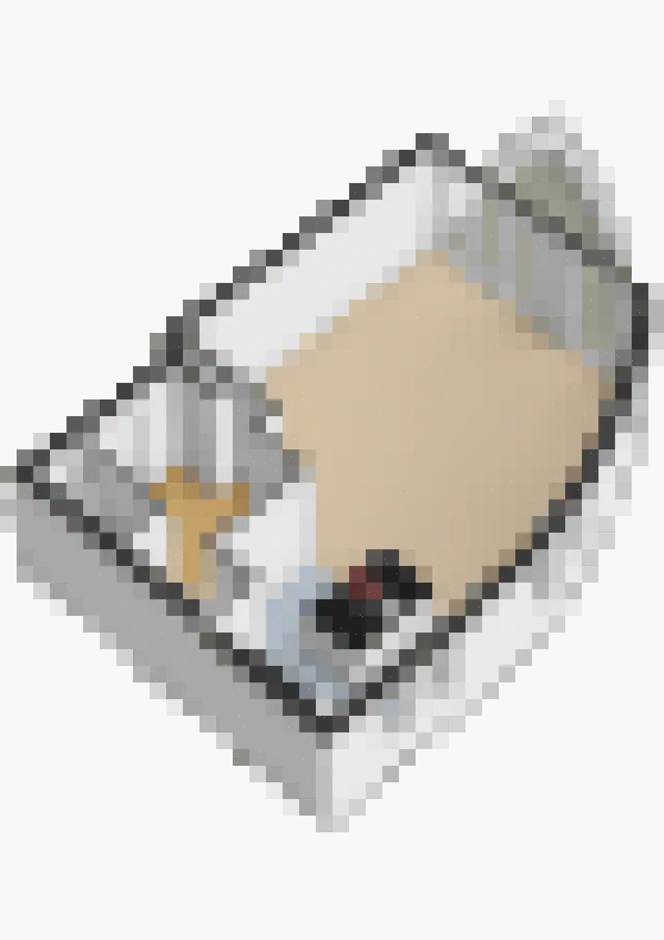 Raadhuisplein 61 Lekkerkerk thumbnail 39