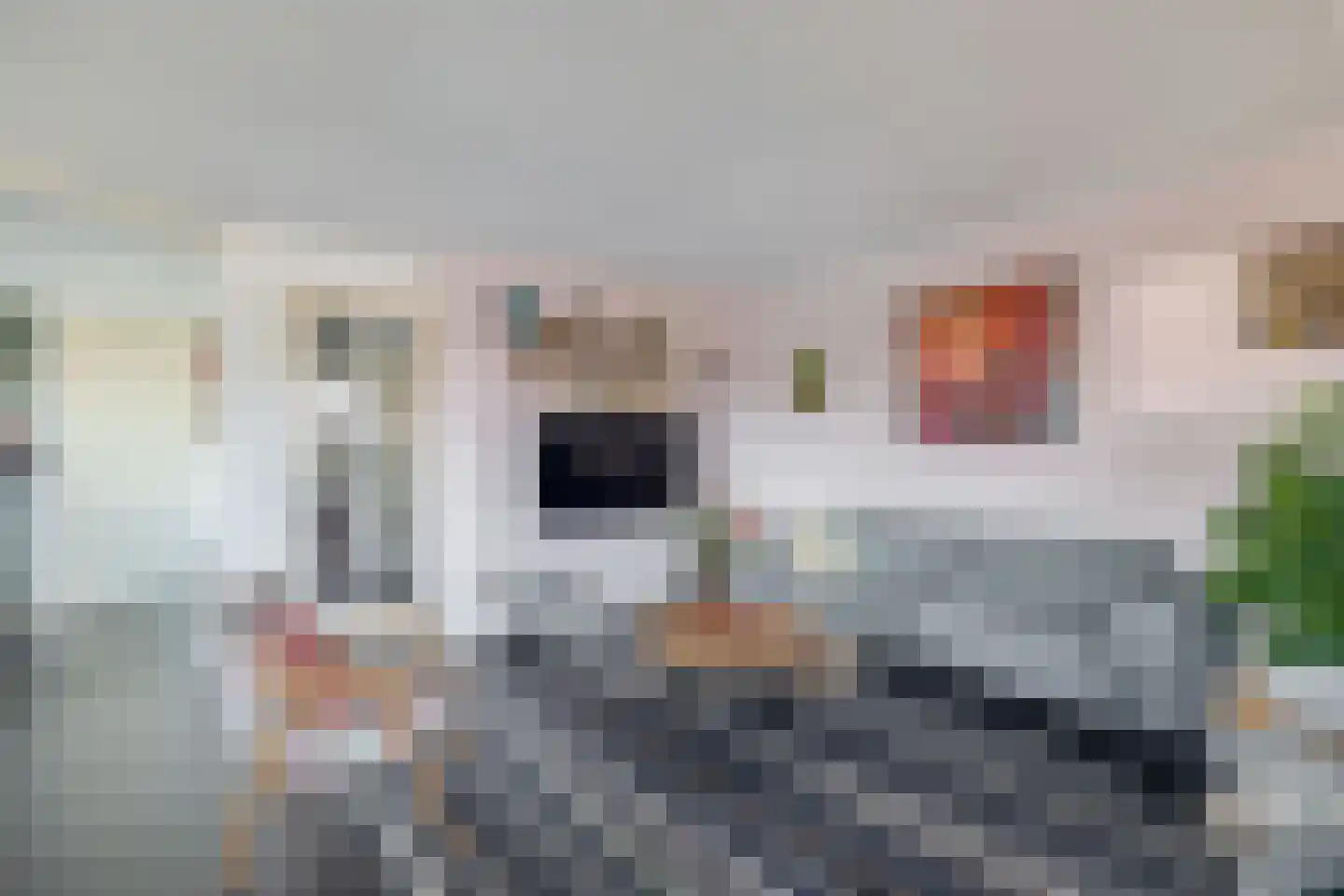 Raadhuisplein 61 Lekkerkerk thumbnail 9