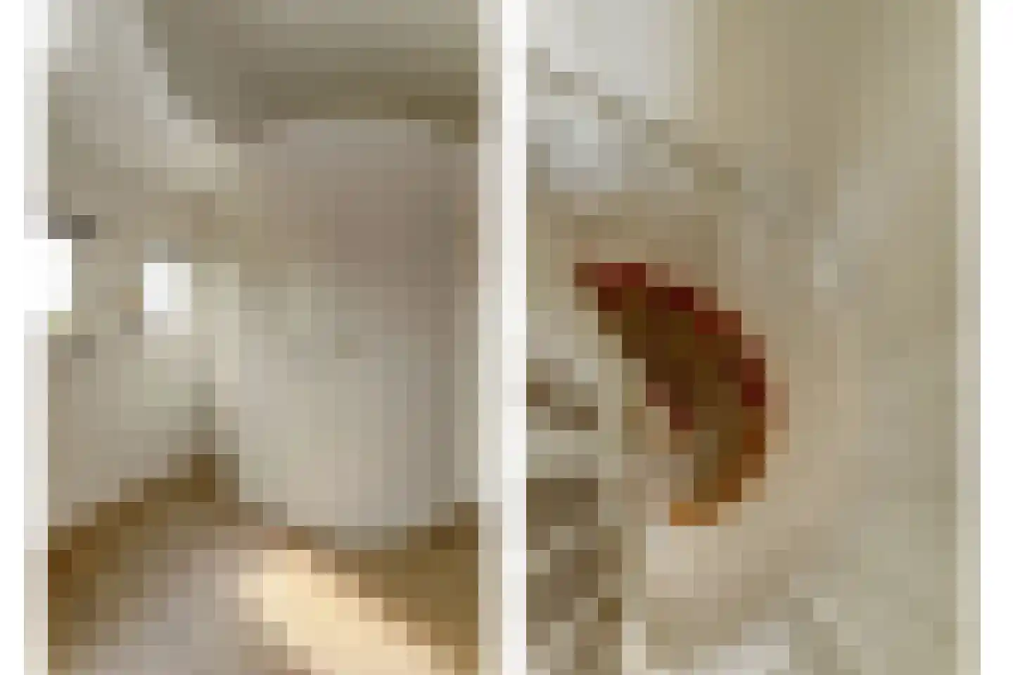Raadhuisplein 71 Lekkerkerk thumbnail 14