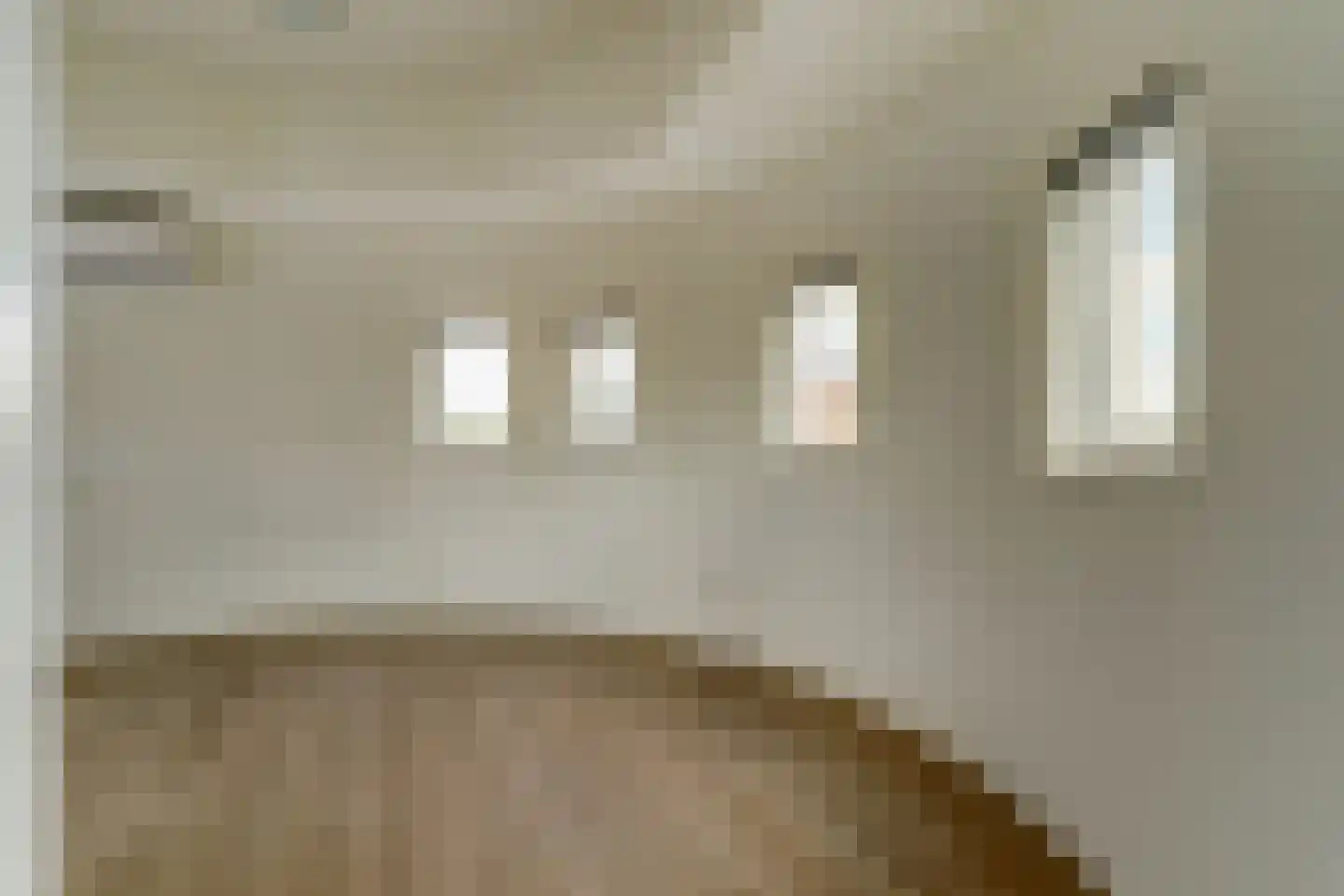 Raadhuisplein 71 Lekkerkerk thumbnail 17