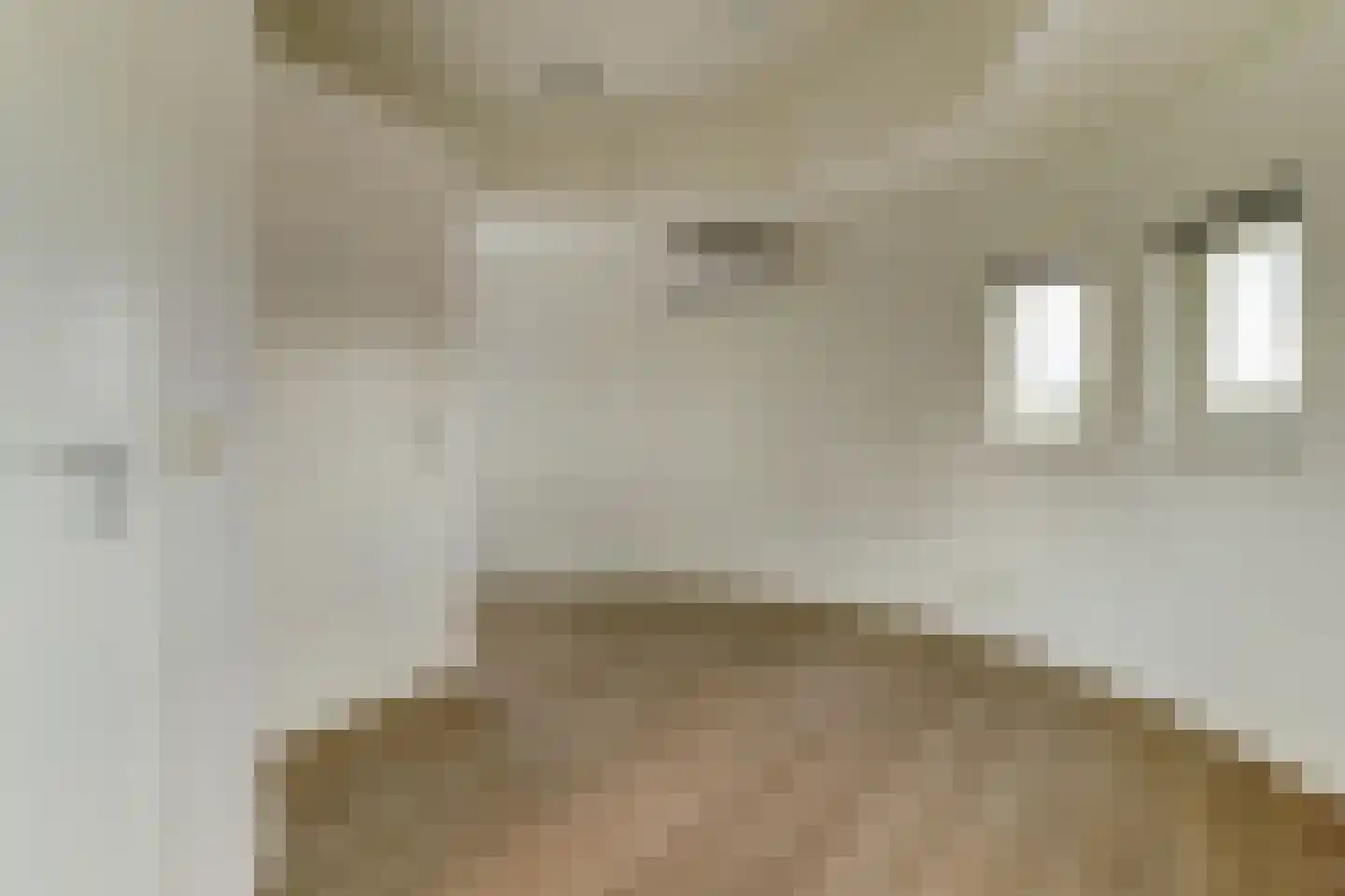 Raadhuisplein 71 Lekkerkerk thumbnail 18