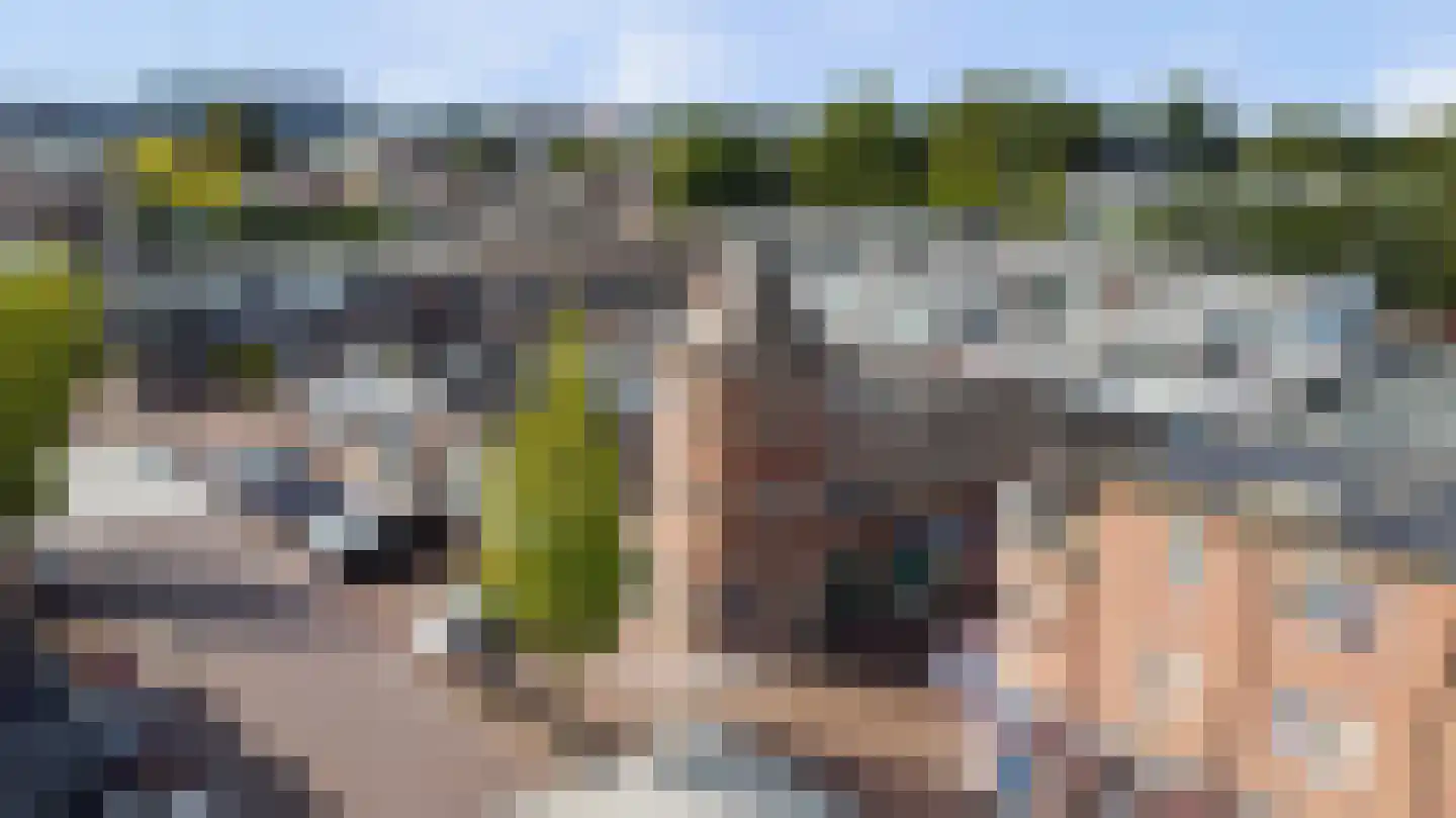 Raadhuisplein 71 Lekkerkerk thumbnail 5