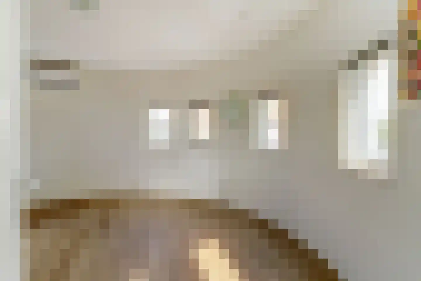 Raadhuisplein 71 Lekkerkerk thumbnail 9