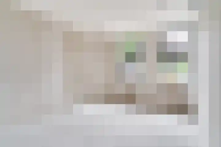 Raadhuisplein 8 Asperen thumbnail 12