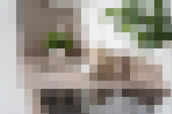 Raadhuisplein 8 Asperen thumbnail 4
