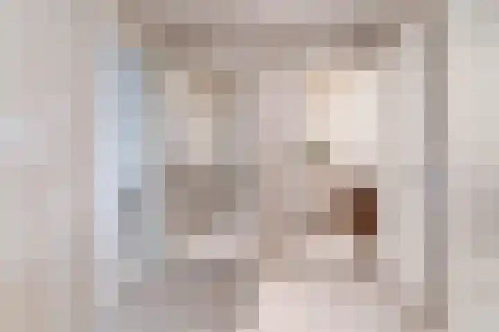 Raadhuisplein 8 Asperen thumbnail 6