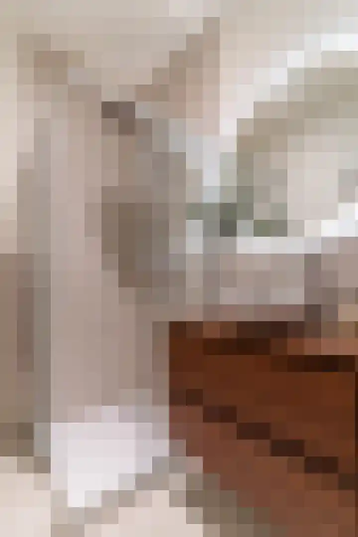 Raadhuisplein 8 Asperen thumbnail 7