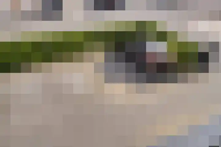 Raadhuisplein 80 b Stein thumbnail 16