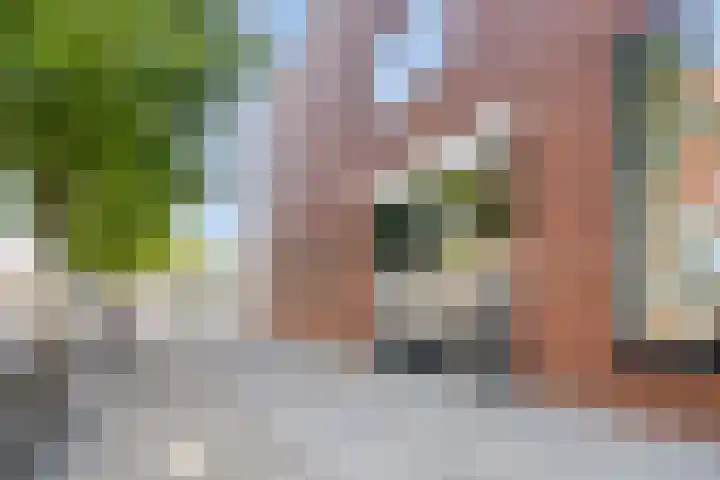 Raadhuisplein 80 b Stein thumbnail 8