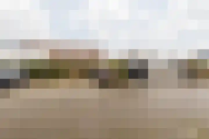 Raadhuisplein 80 c Stein thumbnail 41
