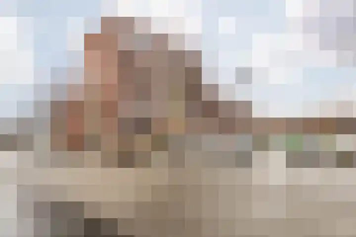 Raadhuisplein 80 c Stein thumbnail 5
