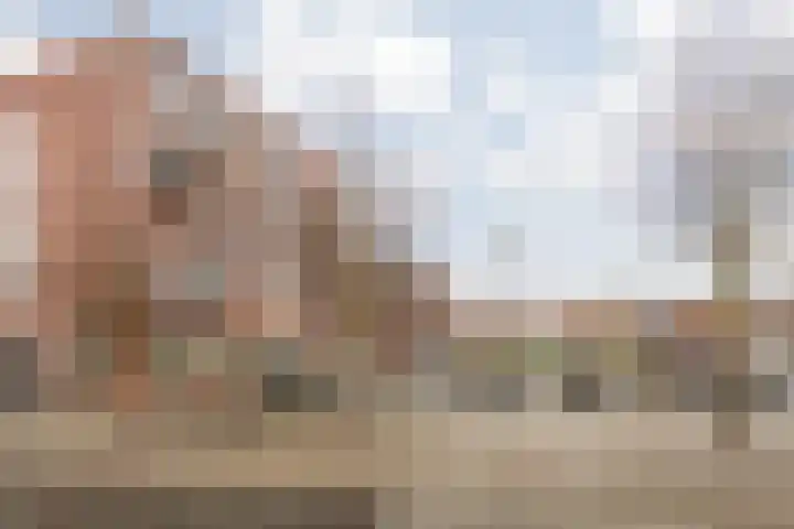 Raadhuisplein 80 c Stein thumbnail 6