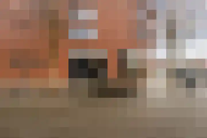 Raadhuisplein 80 c Stein thumbnail 7