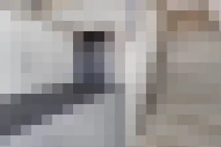 Raadhuisplein 80 c Stein thumbnail 9
