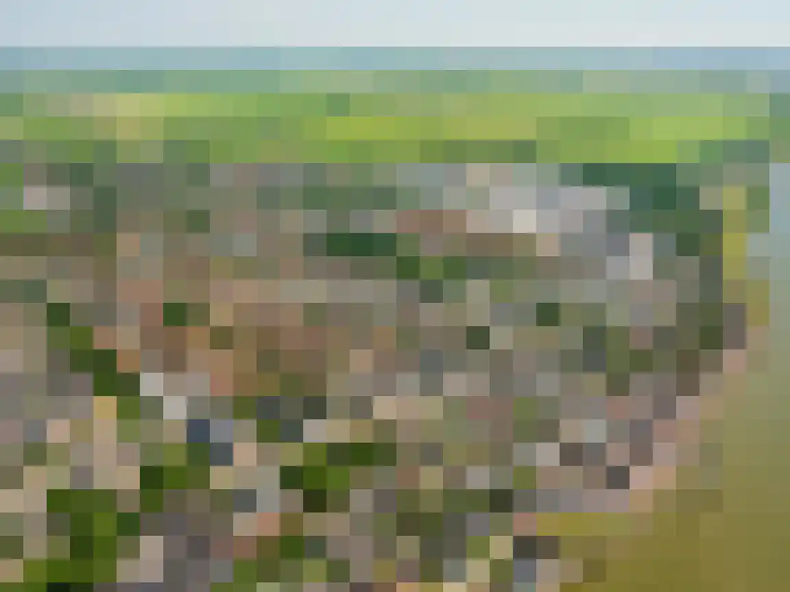 Raadhuisplein 9 a Lekkerkerk thumbnail 10