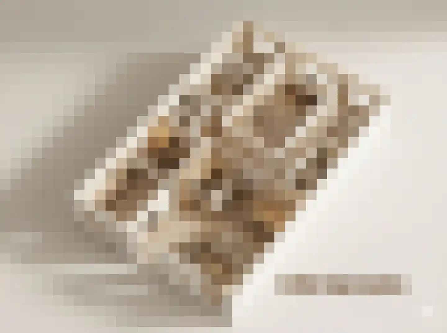 Raadhuisplein 9 a Lekkerkerk thumbnail 5