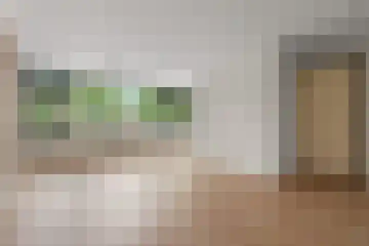 Raadhuisplein 9 C Zevenaar thumbnail 10
