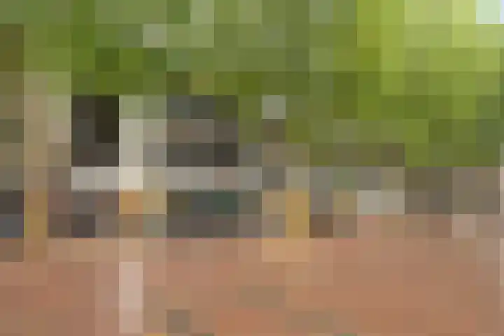 Raadhuisplein 9 C Zevenaar thumbnail 17