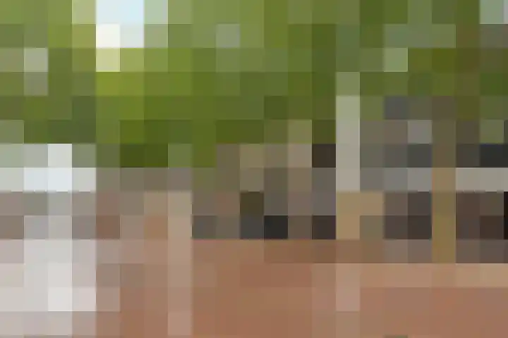 Raadhuisplein 9 C Zevenaar thumbnail 18