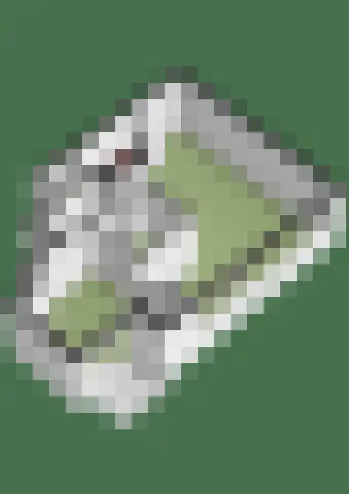 Raadhuisplein 9 C Zevenaar thumbnail 21