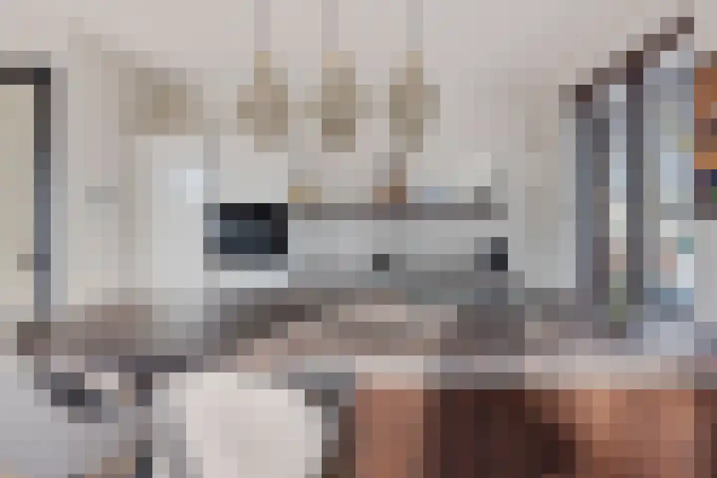 Raadhuisplein 9 f Heiloo thumbnail 12