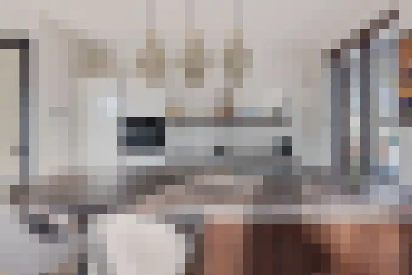 Raadhuisplein 9 f Heiloo thumbnail 12