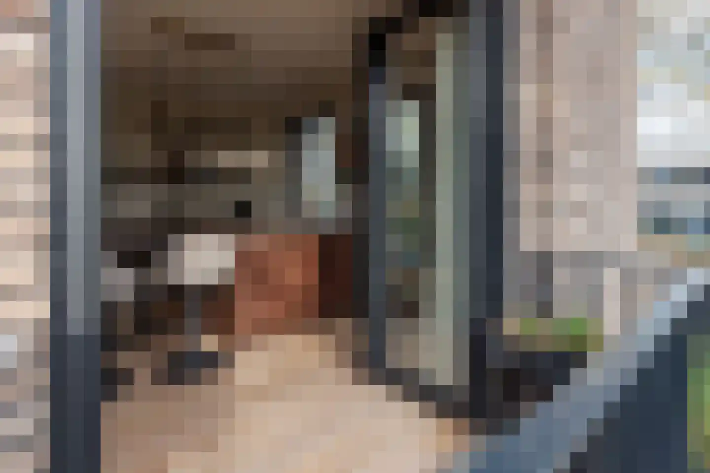 Raadhuisplein 9 f Heiloo thumbnail 20