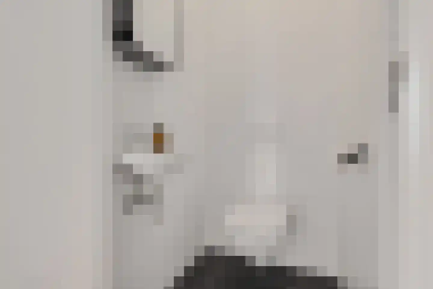 Raadhuisplein 9 f Heiloo thumbnail 27